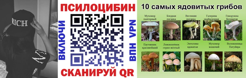 Галлюциногенные грибы Psilocybe  Екатеринбург 